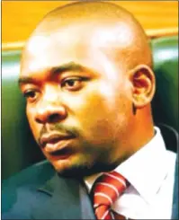  ??  ?? Nelson Chamisa