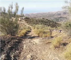  ??  ?? Vom Cerro Tío Caña führt ein steiler Pfad hinab, der bald auf einen Feldweg mündet, der in eine Urbanisati­on führt.