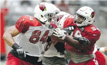  ??  ?? Arizona Cardinals tight end Jermaine Gresham, left, makes a block on linebacker Alex Bazzie during NFL training camp. Bazzie is back with the B.C. Lions.