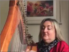  ??  ?? Aileen Kennedy taking part in Harps for Hope.