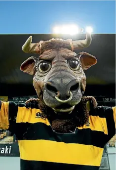  ?? PHOTO: GETTY IMAGES) ?? Morris West has been the Taranaki rugby mascot (Ferdinand or Ferdie) for 17 out of the last 20 years.