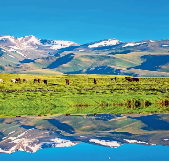  ??  ?? La pradera Bayanbulak está ubicada al pie de las montañas Tianshan en Xinjiang.