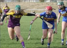  ??  ?? Joanne Dillon trying to make tracks towards the Tipperary goal.