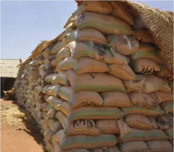  ??  ?? Rice stockpile in Kamba