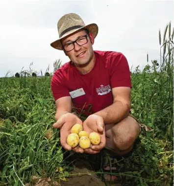  ?? Foto: Marcus Merk ?? Biobauer Sebastian Rotter hat eine gute Kartoffele­rnte in Aussicht. Doch die Konsumzurü­ckhaltung der Menschen, merkt auch er in seinem neuen Hofladen.