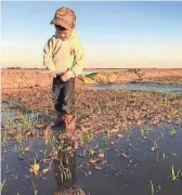  ?? USA RICE ?? John David helps his father flush rice on the family farm.