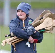  ??  ?? Breda Walsh is left holding the hurls.