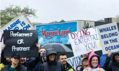  ?? Photograph: Canadian Press/Shuttersto­ck ?? Protestors stand outside Marineland in Niagara Falls, Ontario, in May 2023.