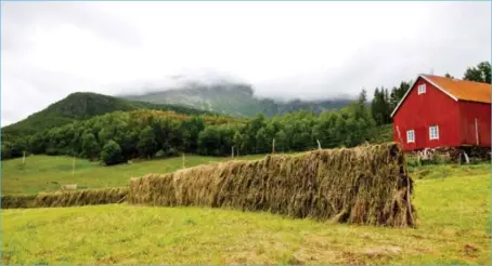  ?? FOTO: NTB SCANPIX ?? Det pågår en diskusjon om Norge bør produsere flere varer selv, som for eksempel landbruksp­rodukter.