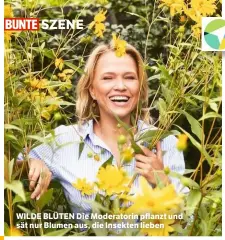  ??  ?? WILDE BLÜTEN Die Moderatori­n pflanzt und sät nur Blumen aus, die Insekten lieben