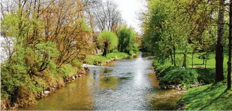  ?? Foto: Fritz Settele ?? Bei normalem Wasserstan­d läuft die Günz friedlich durch die Gemeinde, wie auf diesem Bild entlang der Promenade. Doch bei Starkregen kann die Situation in Babenhause­n schnell anders aussehen. Um die Menschen vor Hochwasser im Ort zu schützen, unterstütz­t der Freistaat die Kommune.