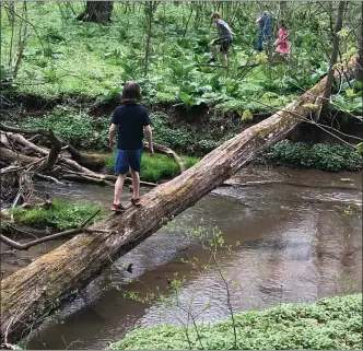  ?? PHOTO BY COURTNEY DIENER-STOKES ?? Children have a chance to explore the natural world at nature camp.