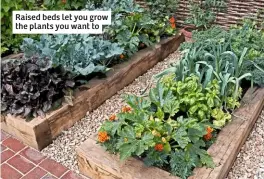  ??  ?? Raised beds let you grow the plants you want to