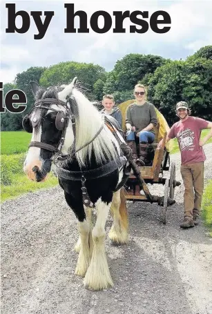  ?? MIKE BISHOP ?? Southport wheelwrigh­t Phill Gregson and partner Emily are embarking on a 1,000-mile journey by horse and cart in memory of their baby daughter who died at the age of just one month