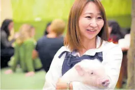  ?? ?? Shiho Kitagawa, an executive at a Mipig Café, cuddles with a pig.