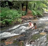  ?? ?? Enjoy a thermal swim at Kerosene Creek. MARK TAYLOR/STUFF