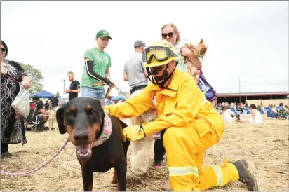  ?? KIMBERLY MORALES — ENTERPRISE-RECORD ?? Marty Simpsons pets a dog as she hands out magnets to guests at the Butte Humane Society’s Woofstocks festival on Saturday, in Chico.