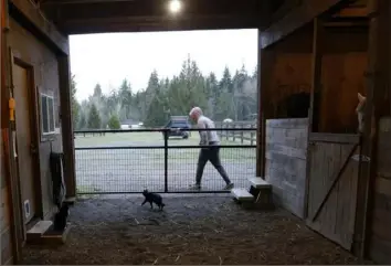  ?? Martha Irvine/Associated Press photos ?? Robel, an 18-year-old tech addict from California, leaves a barn after helping feed animals at the Rise Up Ranch outside rural Carnation, Wash., in December. The ranch is a starting point for clients like Robel who come to reSTART Life, a residentia­l program for adolescent­s and adults who have serious issues with excessive tech use, including video games.