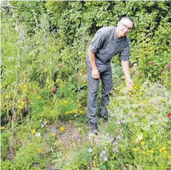  ?? FOTO: BRIGITTE GEISELHART/DPA ?? Von wegen Unkraut: In seinem Wildkräute­rgarten findet Küchenchef Bernhard Raab wichtige Zutaten für seine kreativen Gerichte.