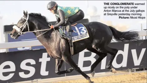  ?? Picture: ?? THE CONGLOMERA­TE
warmed up nicely on the poly under Anton Marcus at the July gallops at Greyville yesterday morning.
Nkosi Hlope