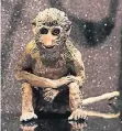  ?? FOTO: INGO LAMMERT/HETJENS ?? Affen aus Keramik von Yvonne Roeb.