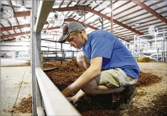  ?? TY GREENLEES / STAFF ?? Greene County Junior Fair board member Brandon Barr builds stalls inside the cattle barn on Friday in preparatio­n for the fair opening. Barr is showing a market steer and breeding heifer with Husky Hustlers 4-H club.