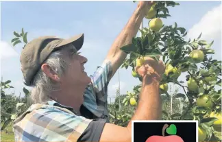  ??  ?? Roland Joannin, hybrideur et fondateur du collectif La Pomme de demain.