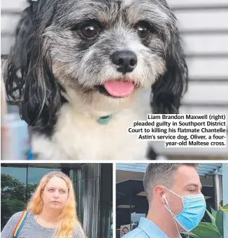  ?? ?? Liam Brandon Maxwell (right) pleaded guilty in Southport District Court to killing his flatmate Chantelle Astin’s service dog, Oliver, a fouryear-old Maltese cross.