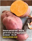  ??  ?? Sweet potato kit – buy 6 get 6 free (12 plug plants in total) – £6.49 SAVE OVER £19!