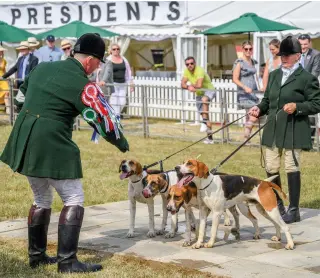  ?? ?? Hounds are the star attraction at the Festival of Hunting, which is held in Peterborou­gh each year