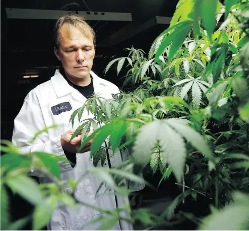  ?? DARREN BROWN / POSTMEDIA NEWS FILES ?? For some, smoking pot is like hearing an old song, says Bruce Linton, CEO of cannabis producer Canopy Growth Corp.