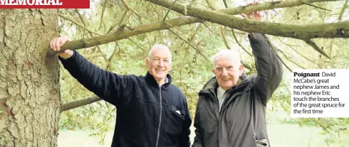  ??  ?? Poignant David McCabe’s great nephew James and his nephew Eric touch the branches of the great spruce for the first time