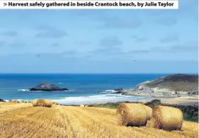  ??  ?? > Harvest safely gathered in beside Crantock beach, by Julie Taylor