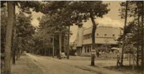  ?? FOTO RR ?? De Linde, toen nog als hotel op de Botermelkb­aan, op een oude postkaart tussen de groene dennen van Koningshof.