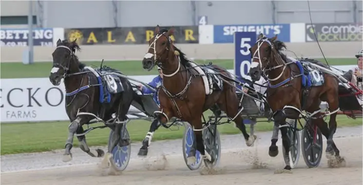  ?? Photo / Trish Dunell ?? Bettor Twist (outer) gets the better of the field when winning at Alexandra Park earlier this month.