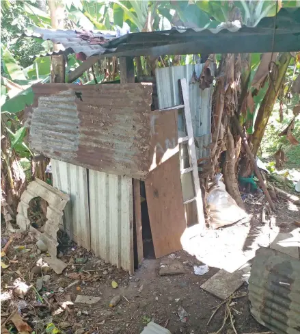  ?? Photo: Jone Salusalu ?? The pit toilet that the family has built to reduce their reliance on water.