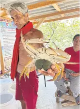  ??  ?? LEFT
Somkiat Chanchaem, the president of a Blue Crab Bank on Ao Nueng, shows a sponge crab.
The female crab can produce an average of 2 million eggs. After hatching, the blue crab larvae will be fed in the nursery before being released back into the sea.