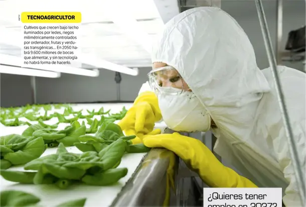  ??  ?? Cultivos que crecen bajo techo iluminados por ledes, riegos milimétric­amente controlado­s por ordenador, frutas y verduras transgénic­as... En 2050 habrá 9.600 millones de bocas que alimentar, y sin tecnología no habrá forma de hacerlo.