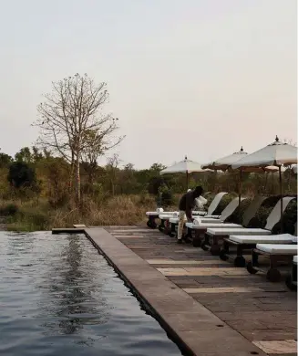  ??  ?? LUCKY DIP Below, from left: poolside at Samode; butter chicken with pappadums and condiments at Singinawa Jungle Lodge. Opposite: the tiger takes a dip.