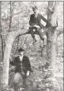  ?? Contribute­d photo ?? A photo from around 1898 shows the “Door Tree” in Hamden. A New Haven man cut the tree down with a chainsaw this year.