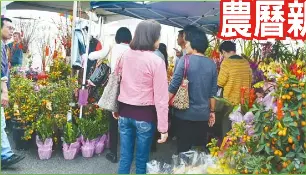 農曆新年將至迎春花市旺 Pressreader
