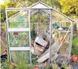  ??  ?? Declutter your greenhouse and give the panes a good clean, inside and out