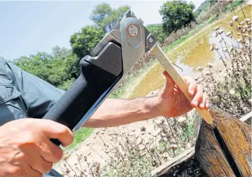  ??  ?? ABOVE Yaniv Bar demonstrat­es hammering a peg with his co-developed ‘COMBAR’ all-in-one hiking tool.