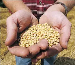 ?? DAN GILL / THE ASSOCIATED PRESS FILES ?? California startup Farmers Business Network aims to disrupt the long-establishe­d convention­s of commerce in Canada’s farming industry by bypassing establishe­d retailers of products such as seeds and fertilizer­s.