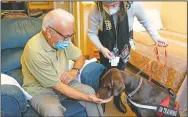  ??  ?? Kida, a chocolate Labrador, visits with Sal Gonzales, 79, in his room at The Hebrew Home.