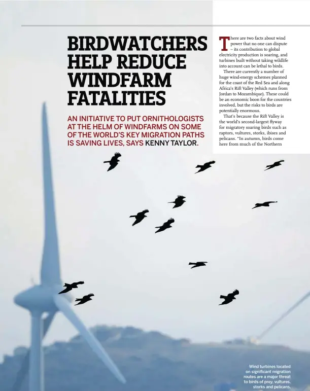  ??  ?? Wind turbines located on significan­t migration routes are a major threat to birds of prey, vultures,
storks and pelicans.