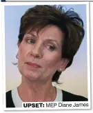  ?? Y T E G ?? UPSET: MEP Diane James