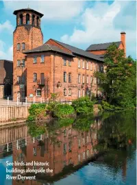  ??  ?? See birds and historic buildings alongside the River Derwent