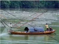  ?? PROVIDED TO CHINA DAILY ?? Garbage floating on the Yangtze River in Yichang, Central China’s Hubei province. Pollution is a major problem for China’s water supply.