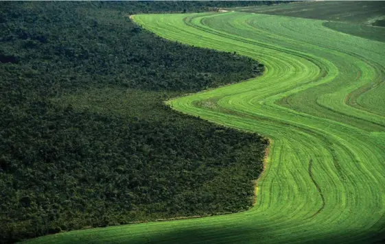  ?? AFP ?? Las crecientes exportacio­nes agrícolas de Brasil generan temores sobre un nuevo avance de los campos cultivados en detrimento de los bosques amazónicos y otros ecosistema­s amenazados. Esta vista correspond­e a Formosa do Rio Preto.